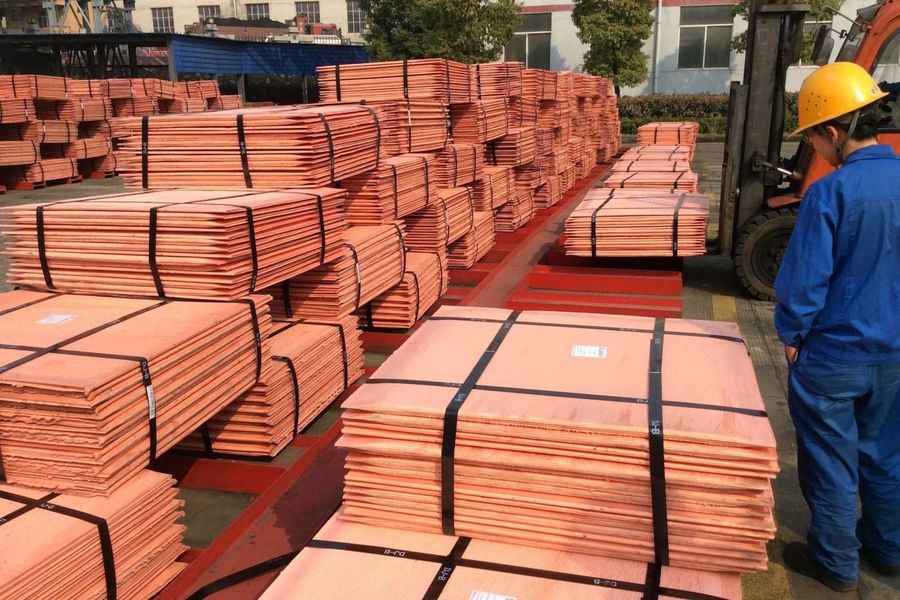 China Jiangsu Xintaiming Technology Co., Ltd. Bedrijfsprofiel
